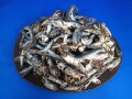 煮干しいわし(牛深) 大羽 6kg 【訳あり特価】