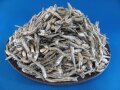 煮干しいわし(瀬戸内) 7kg