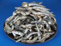 煮干しいわし(長崎) 5kg