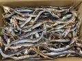 サンマ煮干し 9kg 【レア煮干し：訳あり特価】