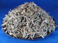 食べる煮干し 1kg 【入荷未定です】