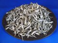 食べる煮干し(平子) 5kg 【レア煮干し：値下げしました】