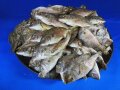 鯛煮干し 小 5.5kg