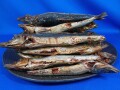 うるめ節 5kg