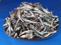 うるめいわし煮干し 小 1kg 【入荷未定です】