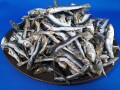 うるめ煮干し(平子・タレ混：長崎) 5kg 【訳あり特価】