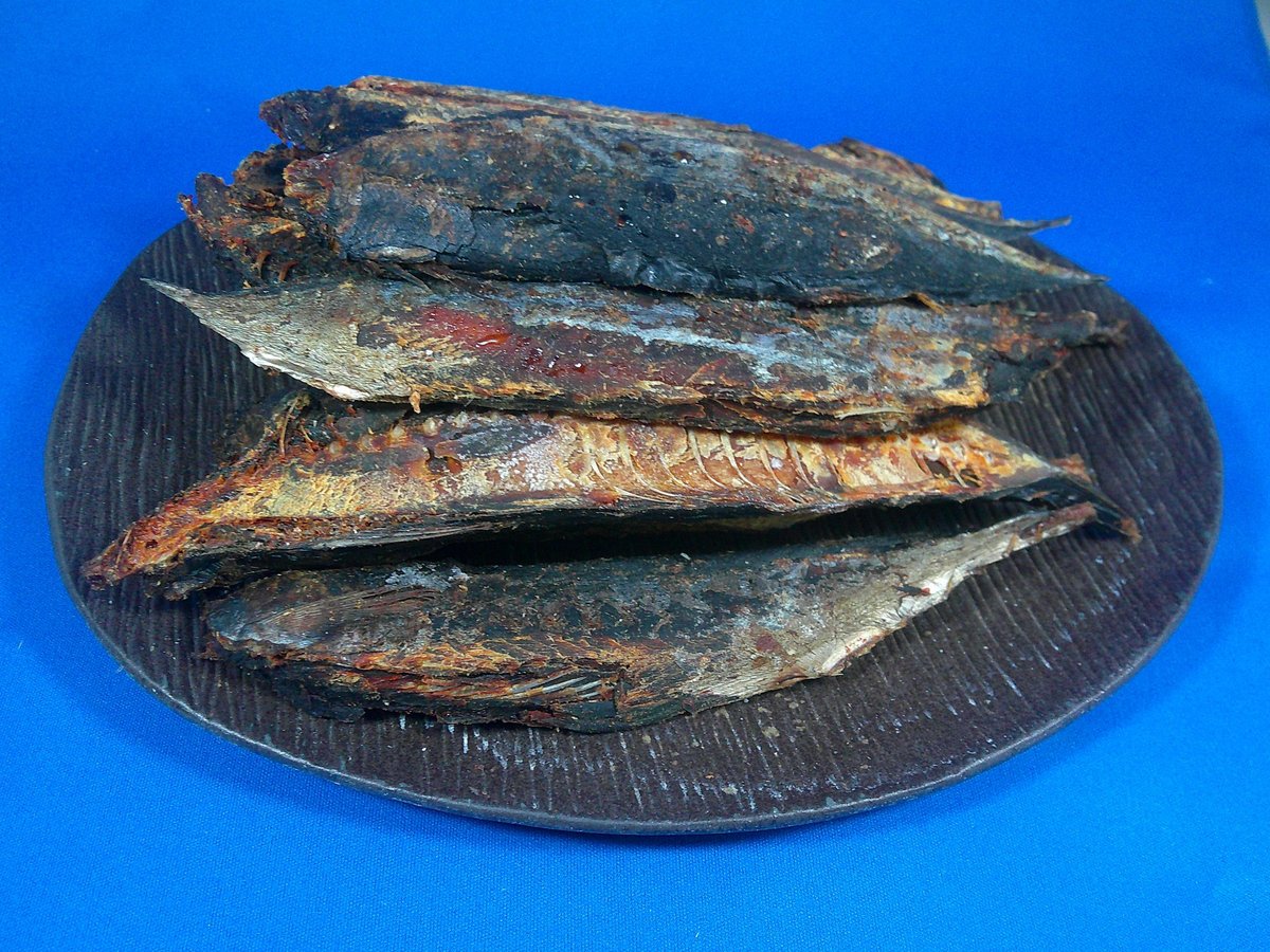 宗田節 5kg