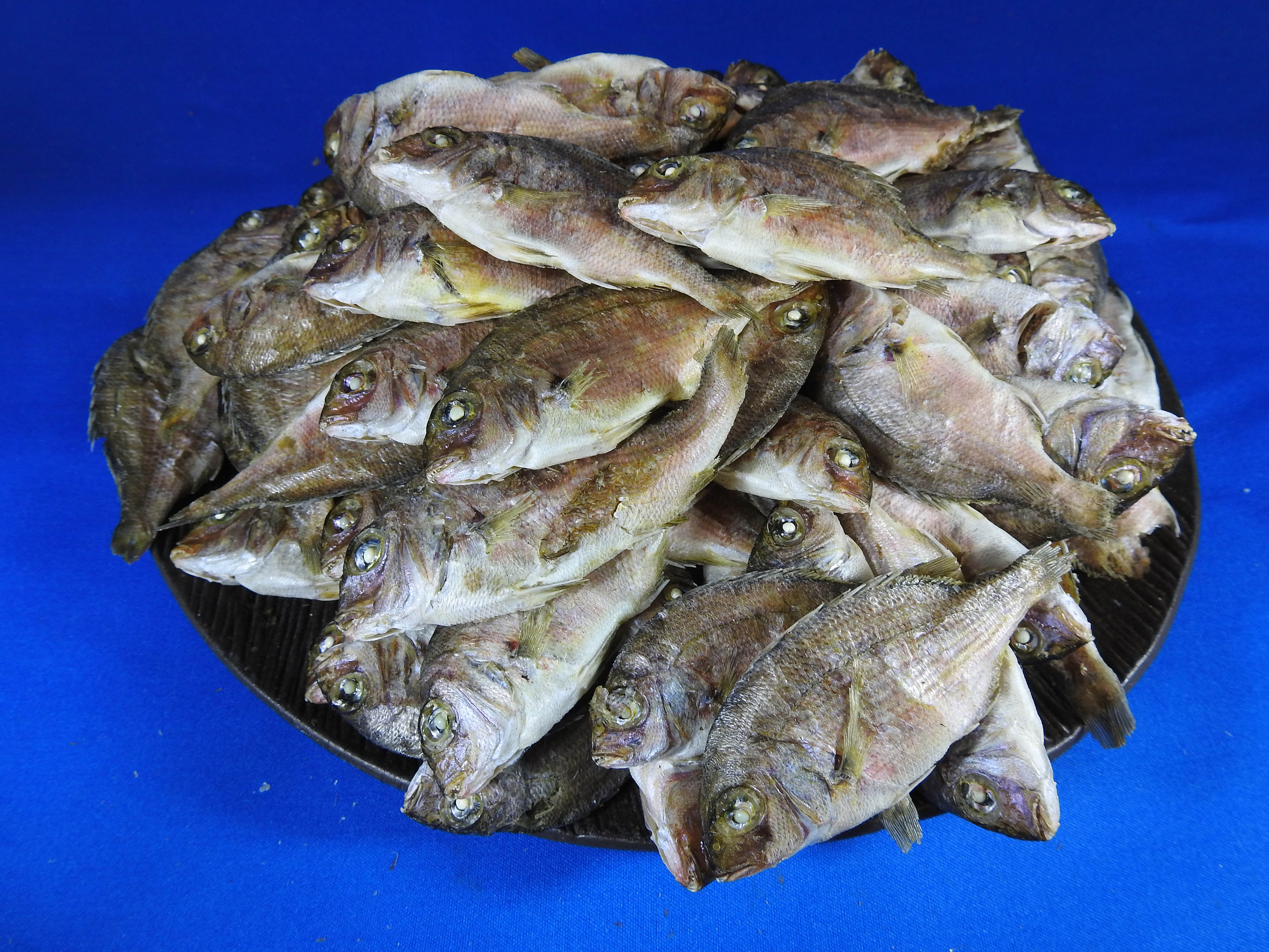 鯛煮干し 小 1kg