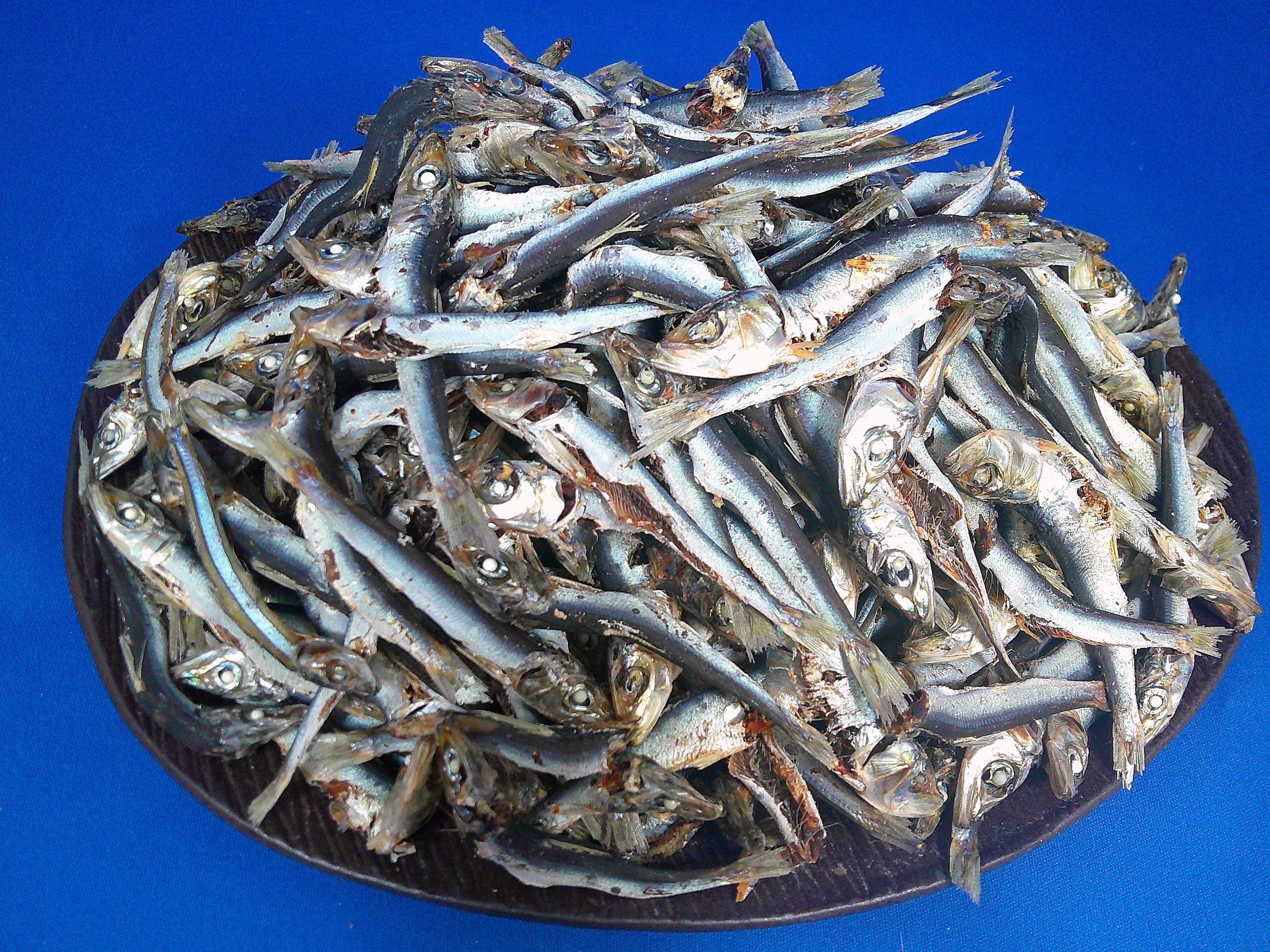 うるめいわし煮干し 小(牛深) 10kg 【訳あり特価】