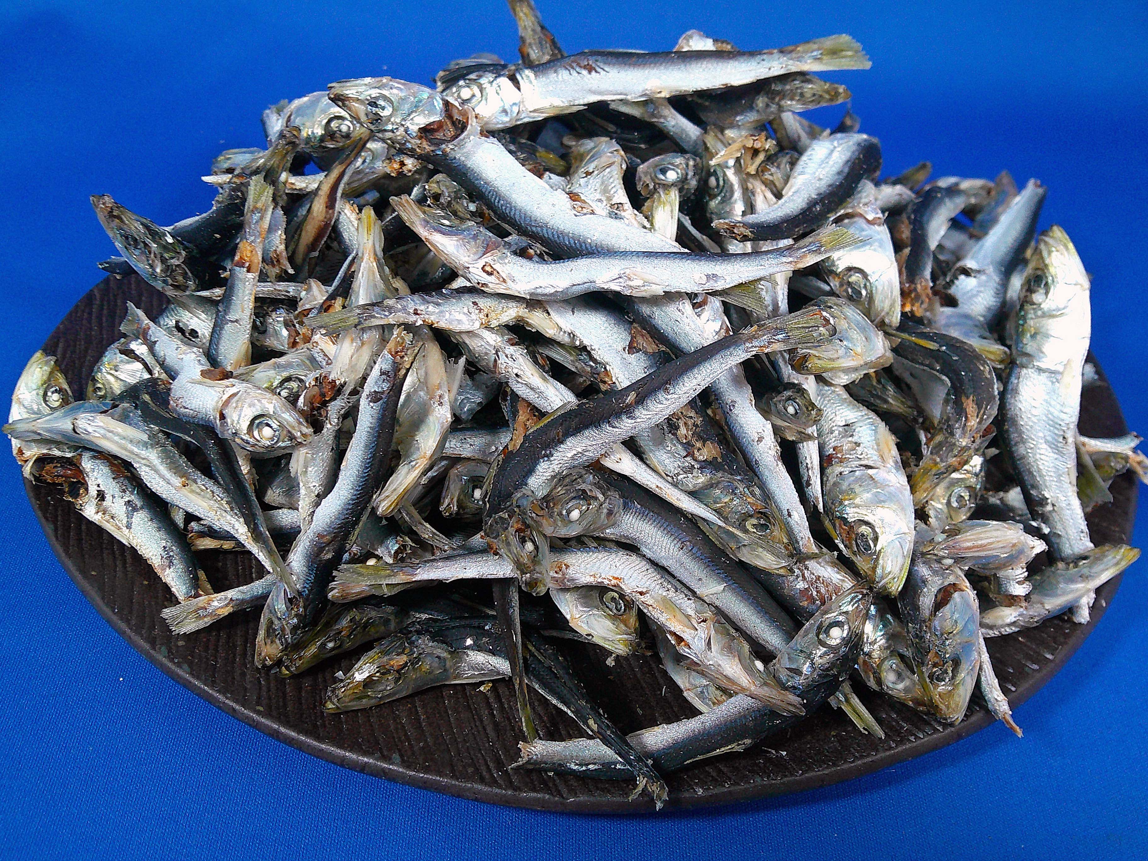 うるめ煮干し(平子・タレ混：長崎) 8.5kg 【訳あり特価】