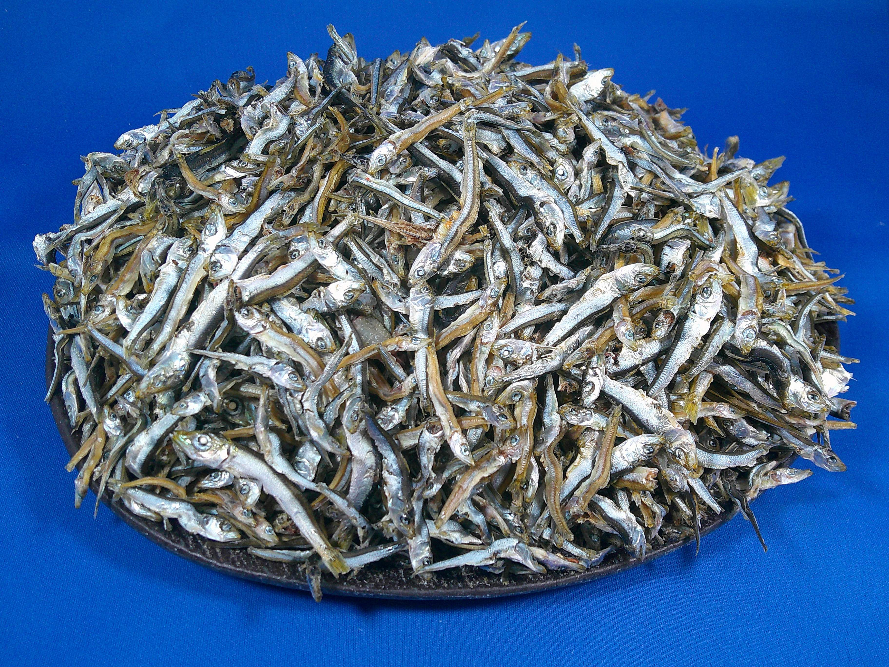 うるめ煮干し(平子・タレ混：長崎) 5kg 【訳あり特価】