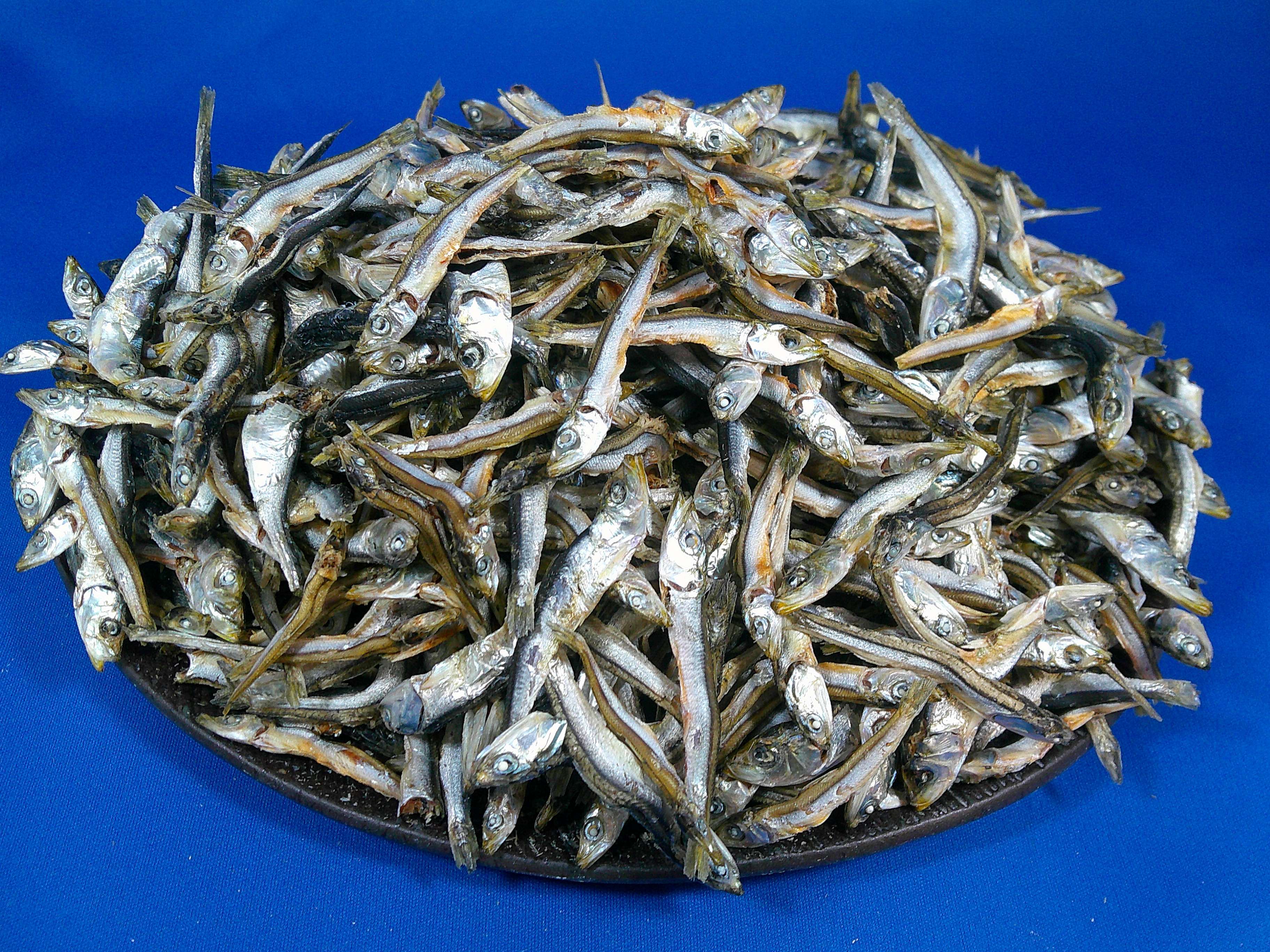 うるめ煮干し(平子・タレ混：長崎) 8.5kg 【訳あり特価】