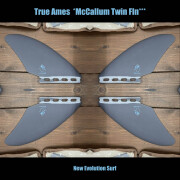 Fins