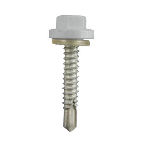 Ŵ �ץ饫�顼EXCEL ���졼 5��19