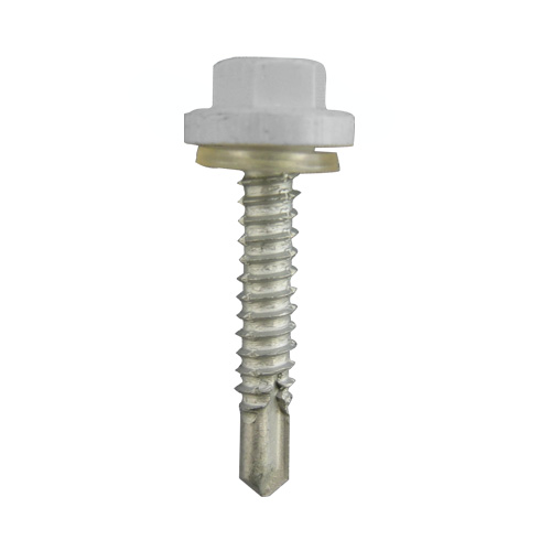 Ŵ �ץ饫�顼EXCEL ���졼 5��45