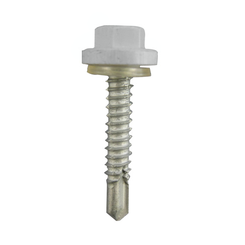 Ŵ �ץ饫�顼EXCEL ���졼 6��35