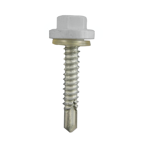 Ŵ �ץ饫�顼EXCEL ���졼 6��45