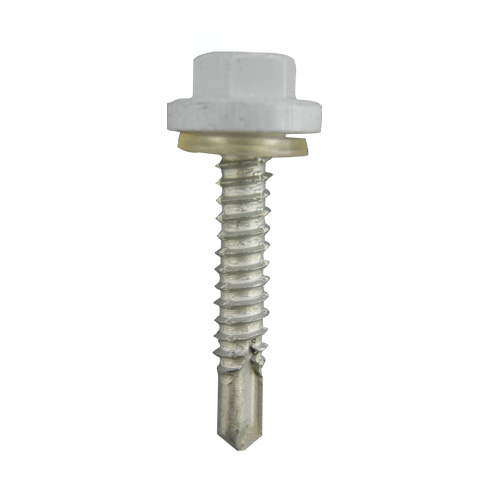 Ŵ �ץ饫�顼EXCEL ���졼 6��60