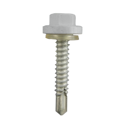 Ŵ �ץ饫�顼EXCEL ���졼 5��25