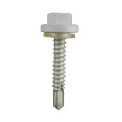 Ŵ �ץ饫�顼EXCEL ���졼 5��35