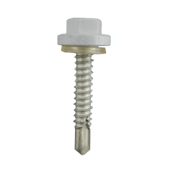 Ŵ �ץ饫�顼EXCEL ���졼 6��45