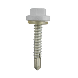 Ŵ �ץ饫�顼EXCEL ���졼 6��60