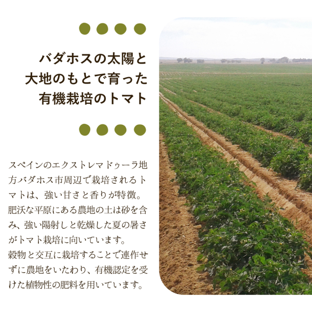 有機栽培完熟トマトパウダー【バダホスの太陽と大地から】