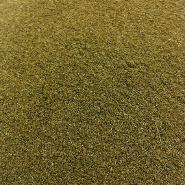 [量り売り]有機フェンネルパウダー[100g]