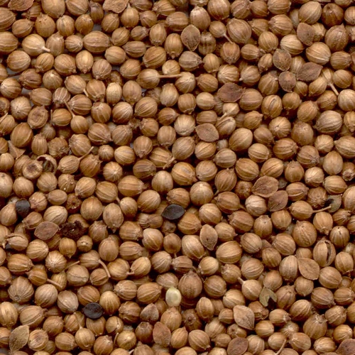 [量り売り]有機コリアンダーシード[100g]