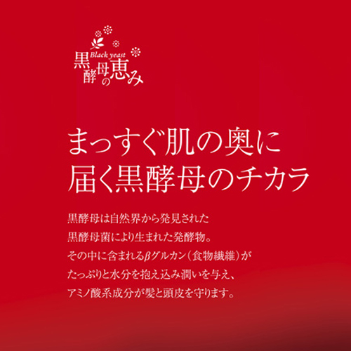 黒酵母の恵みシャンプー 300mL【日本全国 送料無料】 日王株式会社