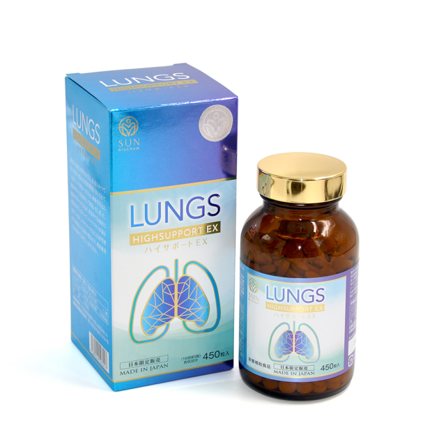 STYLEJAPANスタイルジャパン　LUNGSハイサポート EX　HIGH SUPPORT EX【日本全国　送料無料】