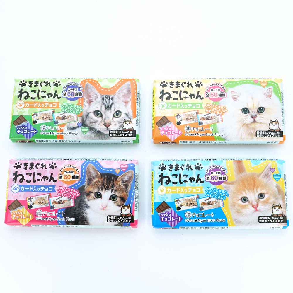 正栄デリシィ きまぐれねこにゃん クランチチョコレート （20個入） 駄菓子 チョコ  まとめ買い お菓子 子供会