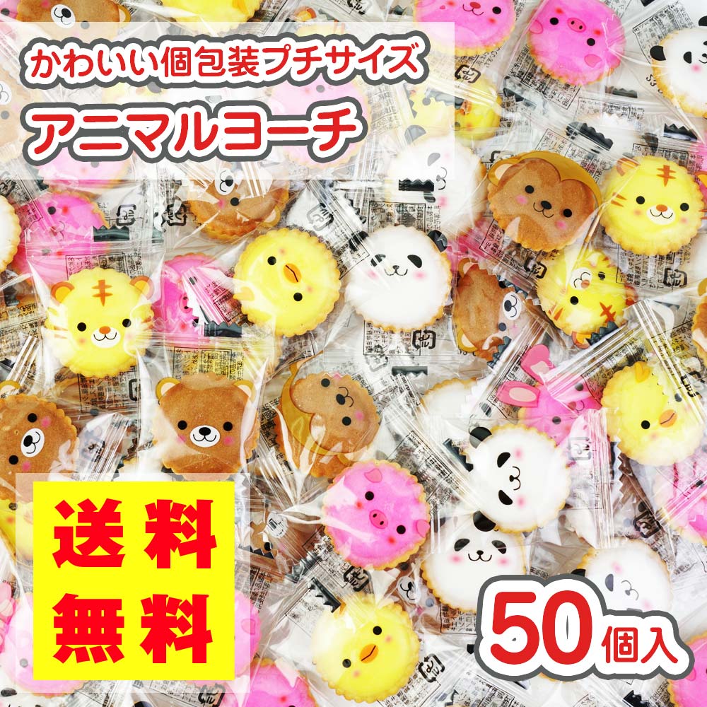 【 送料無料 ゆうパケット便 】 リアライズ プチ アニマル ヨーチ (50個入)   駄菓子 まとめ買い 大袋 業務用 徳用 ビスケット系のお菓子