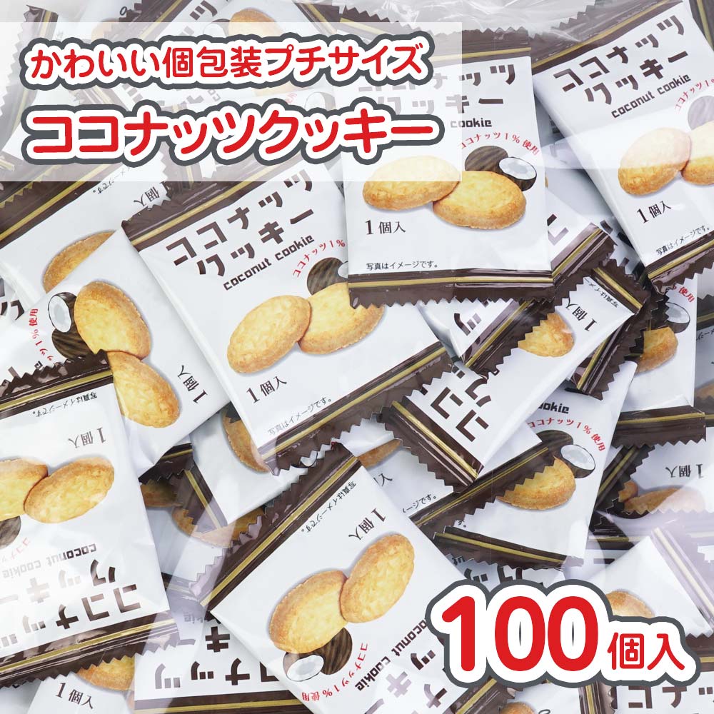 リアライズ プチ ココナッツクッキー (100個入) 駄菓子 まとめ買い 箱買い ビスケット・クッキー系のお菓子
