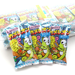 キッコー カメレオンキャンディ （30個入） 駄菓子 飴 チューイング まとめ買い 箱買い