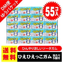 送料無料 ポッキリ 価格 マルカワ ひえひえっこガム 55個入+5個当 ポイント消化 外袋無 ゆうパケットDM便