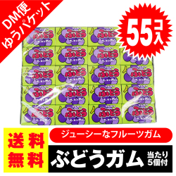 送料無料 ポッキリ 価格 マルカワ ぶどう フーセンガム 55個入+5個当 ポイント消化 外袋無 ゆうパケットDM便