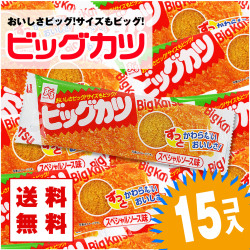 送料無料 ビッグカツ (15個入) 【駄菓子まとめ買い・珍味・イカ