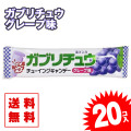 【ゆうパケット / 送料無料 】ガブリチュウ グレープ味 (20個入) 景品 お試し プレゼント キャンディ系の駄菓子 明治  チューイング