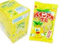 【駄菓子のまとめ買い・グミ系の駄菓子】パイン パインアメグミ(10個入)
