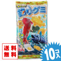 【 送料無料 ゆうパケット便  】  魚ギョッと 釣りグミ (10個入)  お菓子 まとめ買い  送料無料 飴・グミ系の駄菓子 バンダイ