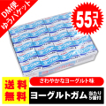 送料無料 ポッキリ 価格 マルカワ ヨーグルトガム 55個入+5個当 ポイント消化 外袋無 ゆうパケットDM便