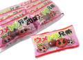 【駄菓子のまとめ買い・梅・昆布系の駄菓子】よっちゃん ウメトラ兄弟 (20袋入)