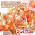 リアライズ ポテコロン うすしお味 大袋 ( 50個入 x 5袋 )  駄菓子 まとめ買い 箱買い 業務用 スナック系のお菓子