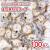 リアライズ プチ 招き猫ヨーチ (100個入) 駄菓子 まとめ買い 箱買い ビスケット・クッキー系のお菓子