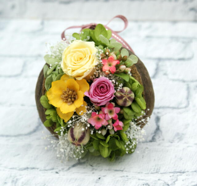 幸運の実◆ブッタナッツアレンジ（プリザーブドフラワー）◆504-12　送料込！