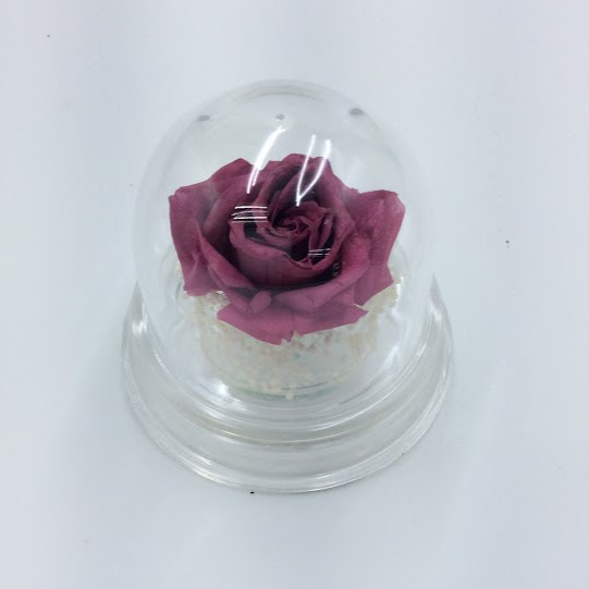クリアドームケーキ プリザーブドフラワー プリザーブドフラワークリア