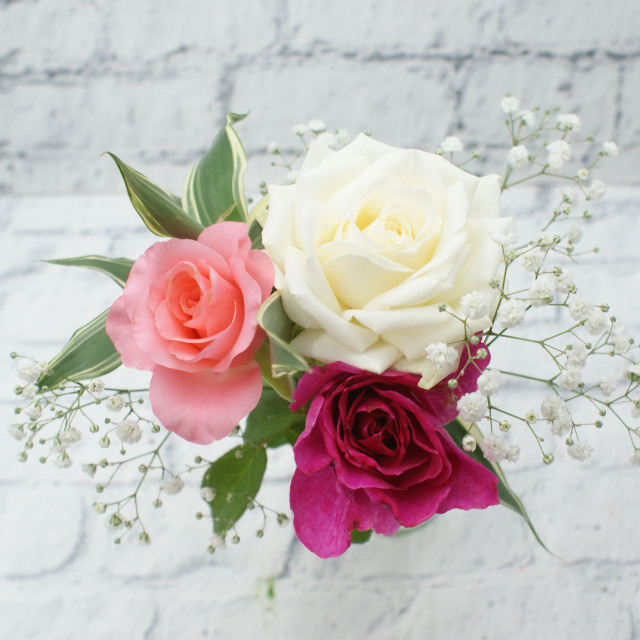 ちょこっとバラ3本＋おまけ（送料税込み） 咲いてる時だけ！