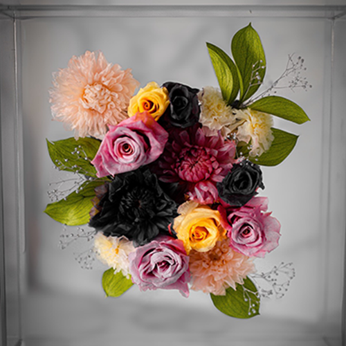 プリザーブドフラワー透明ガラスの額◆712-07　送料込み