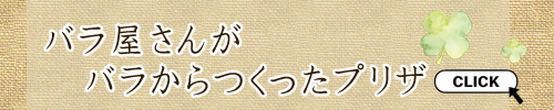 センターナビ